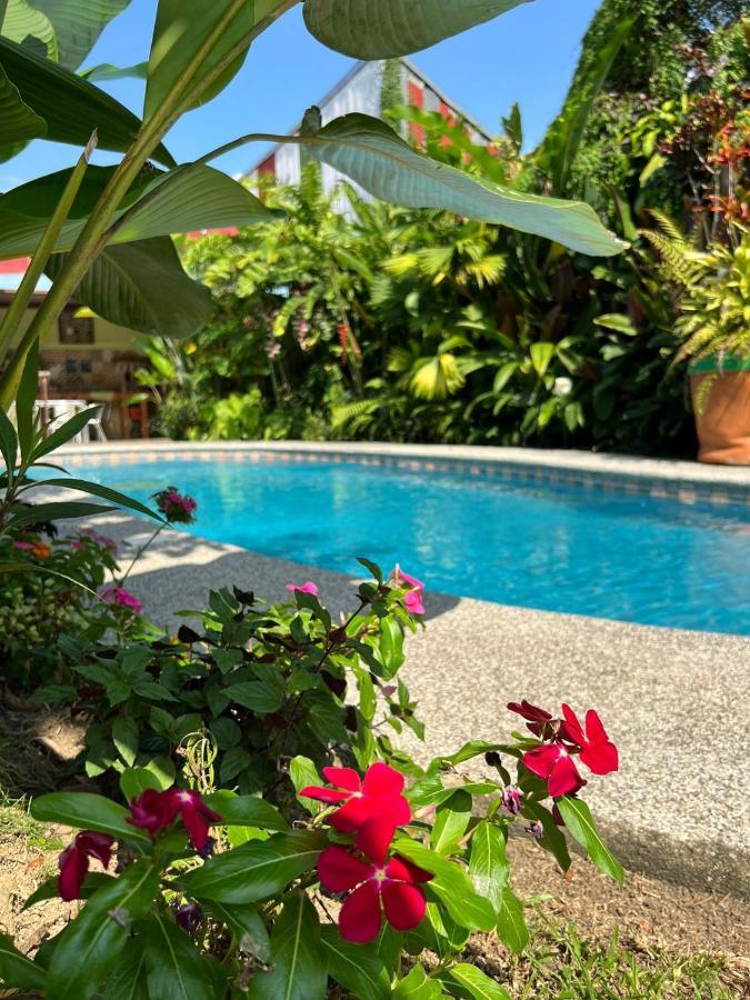 Hotel Arte Natura La Fortuna Екстер'єр фото